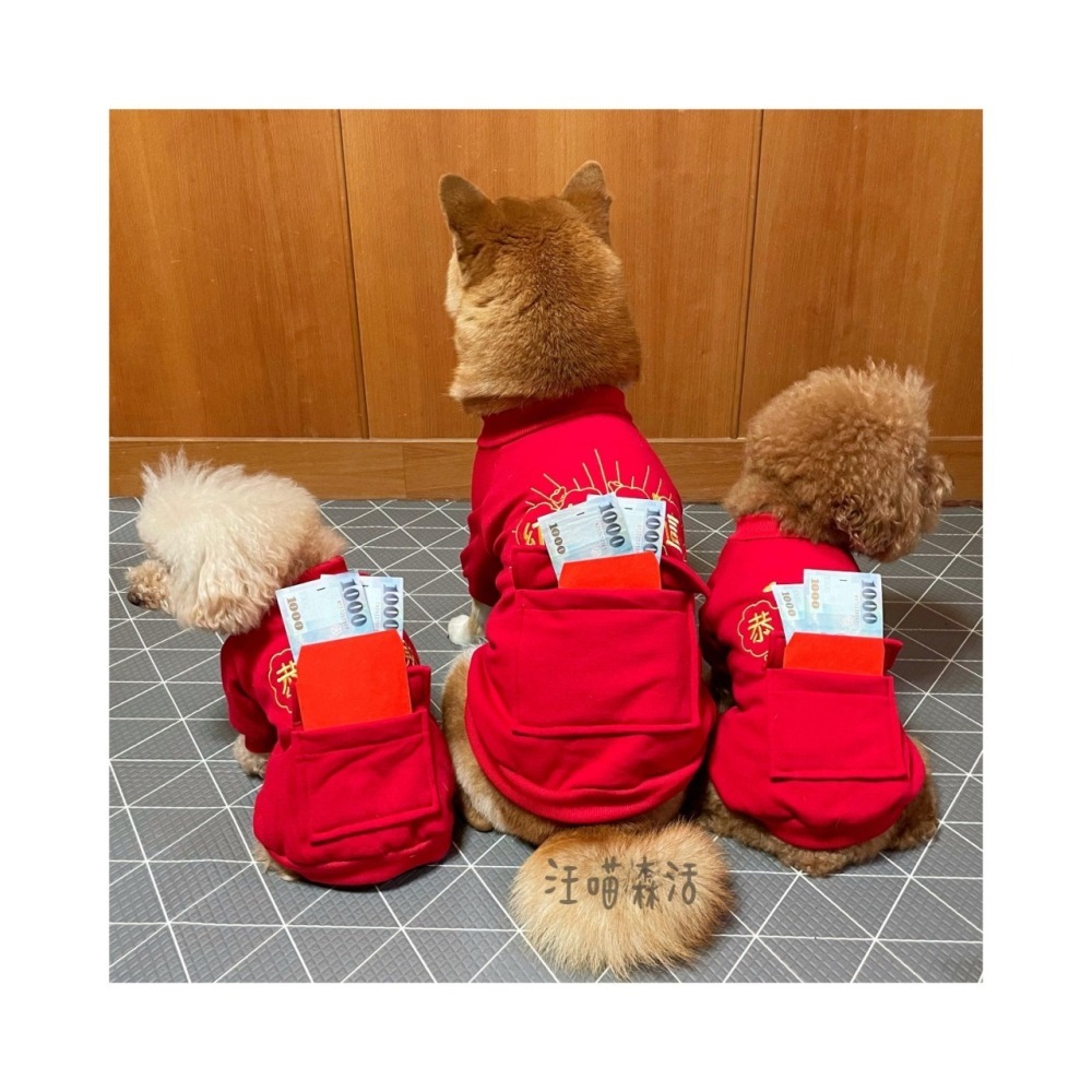 【汪喵森活：獨家款⭐】 新年 春節 紅包放這 恭喜發財 新春 過年 貓狗過年 寵物服飾 狗衣服 柯基 柴犬 米克斯-細節圖6