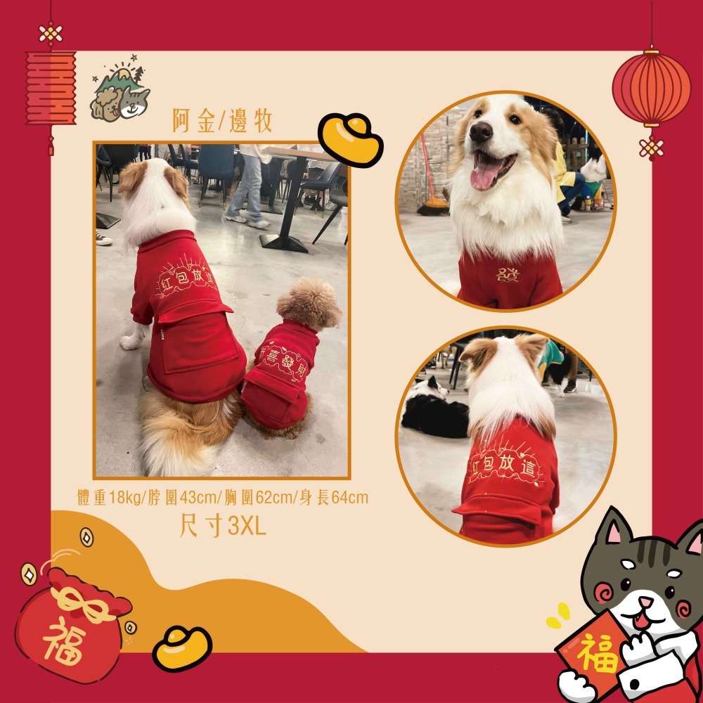【汪喵森活：獨家款⭐】 新年 春節 紅包放這 恭喜發財 新春 過年 貓狗過年 寵物服飾 狗衣服 柯基 柴犬 米克斯-細節圖8