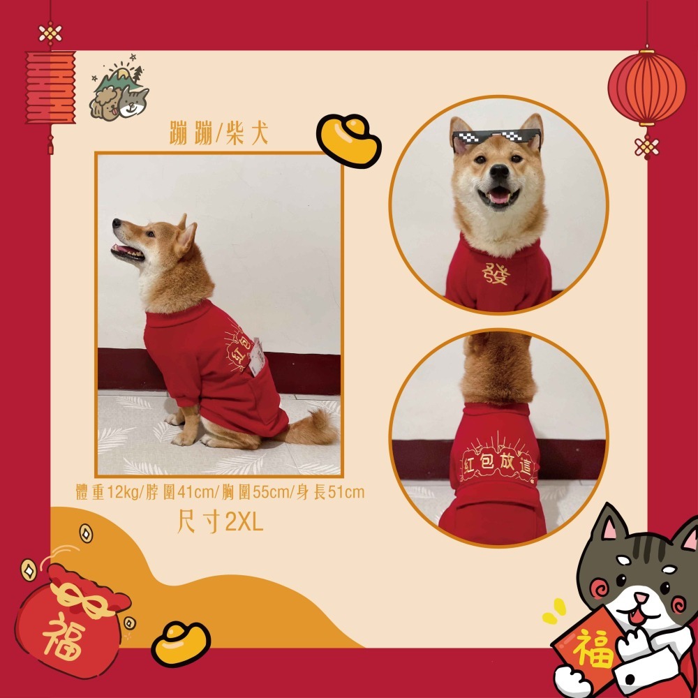 【汪喵森活：獨家款⭐】 新年 春節 紅包放這 恭喜發財 新春 過年 貓狗過年 寵物服飾 狗衣服 柯基 柴犬 米克斯-細節圖9