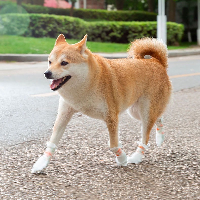 【汪喵森活】 拋棄式腳套 寵物外出腳套 鞋套 狗襪子 一次性腳套 狗腳套 一次性寵物鞋 寵物鞋子 外出涼鞋 狗狗 雨鞋-細節圖9