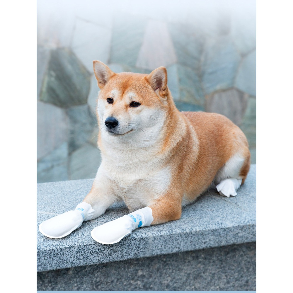 【汪喵森活】 拋棄式腳套 寵物外出腳套 鞋套 狗襪子 一次性腳套 狗腳套 一次性寵物鞋 寵物鞋子 外出涼鞋 狗狗 雨鞋-細節圖10