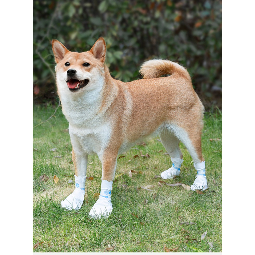 【汪喵森活】 拋棄式腳套 寵物外出腳套 鞋套 狗襪子 一次性腳套 狗腳套 一次性寵物鞋 寵物鞋子 外出涼鞋 狗狗 雨鞋-細節圖11
