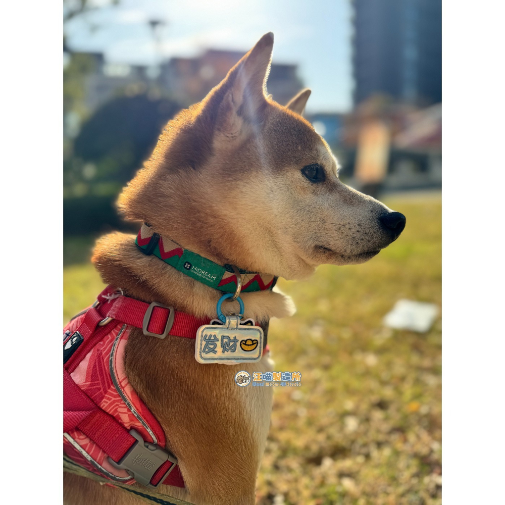 【汪喵森活】 狗名牌 雷射 兩件式 可愛圖案 貓咪 狗刺繡名牌 狗牌 客製狗牌 防丟名牌 寵物名牌 寵物吊牌 刺繡狗牌-細節圖10