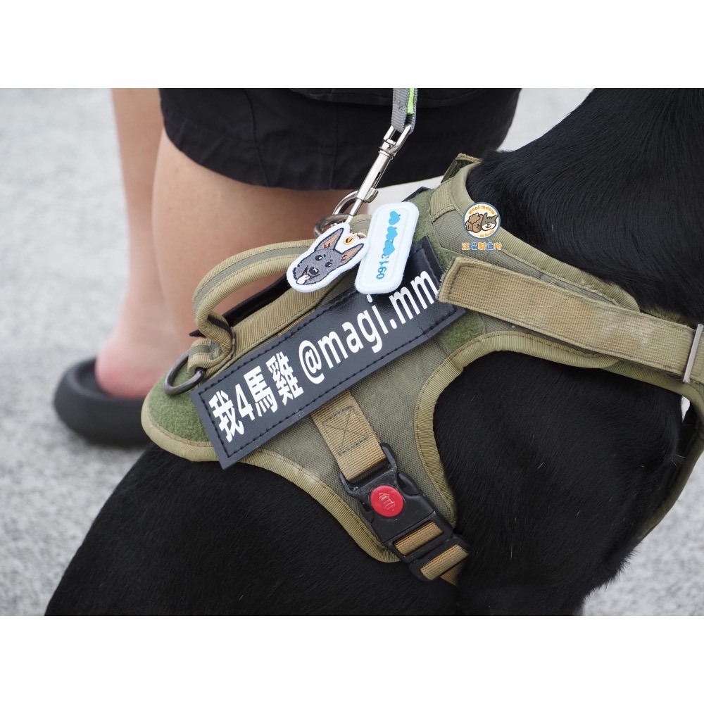 【汪喵森活】1+1不織布名牌 狗狗名牌 狗狗刺繡名牌 狗牌訂製防丟名牌 名牌吊飾 寵物吊牌 刺繡狗牌 寵物名牌 客製狗牌-細節圖6