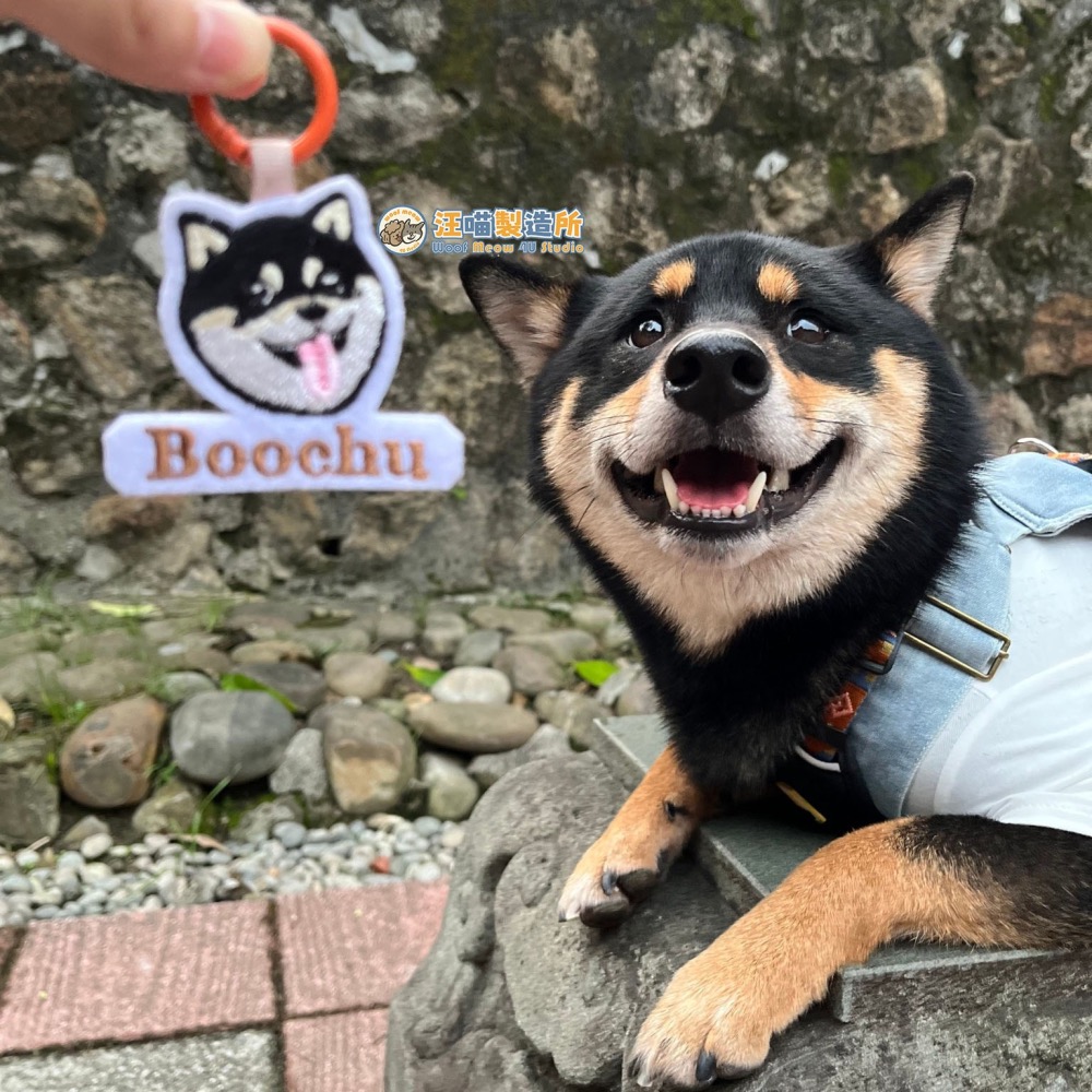 【汪喵森活】不織布名牌 刺繡 狗狗名牌 狗狗刺繡名牌 狗牌訂製防丟名牌 名牌吊飾 寵物吊牌 刺繡狗牌 寵物名牌 客製狗牌-細節圖2