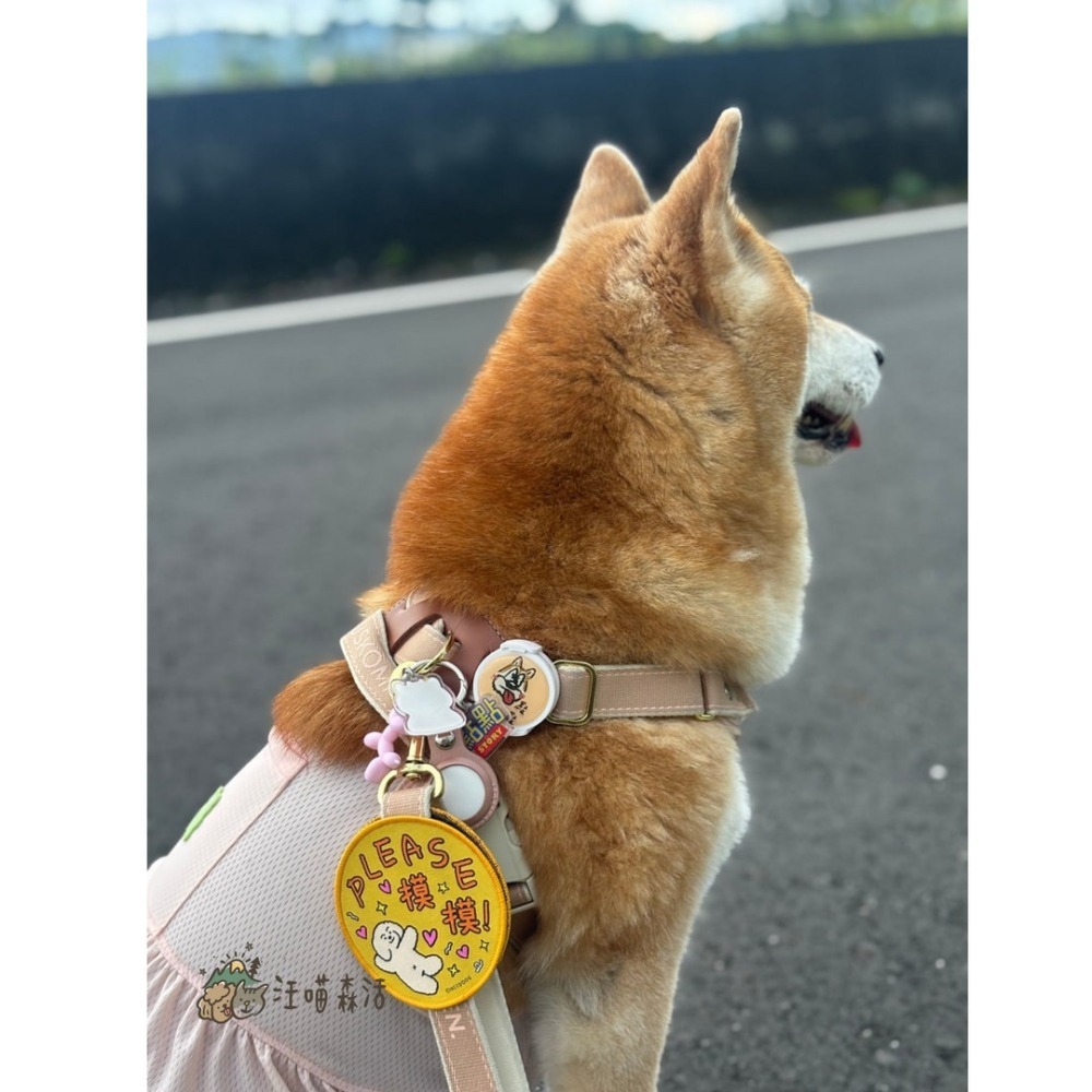 【汪喵森活】 寵物社交貼 雙面 魔鬼氈 寵物標語貼 寵物字貼 可愛圖案 社交標籤貼 寵物牽繩裝飾 寵物牽繩 遛貓 遛狗-細節圖3