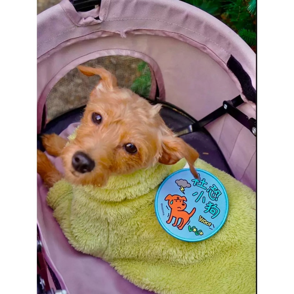 【汪喵森活】 寵物社交貼 雙面 魔鬼氈 寵物標語貼 寵物字貼 可愛圖案 社交標籤貼 寵物牽繩裝飾 寵物牽繩 遛貓 遛狗-細節圖6