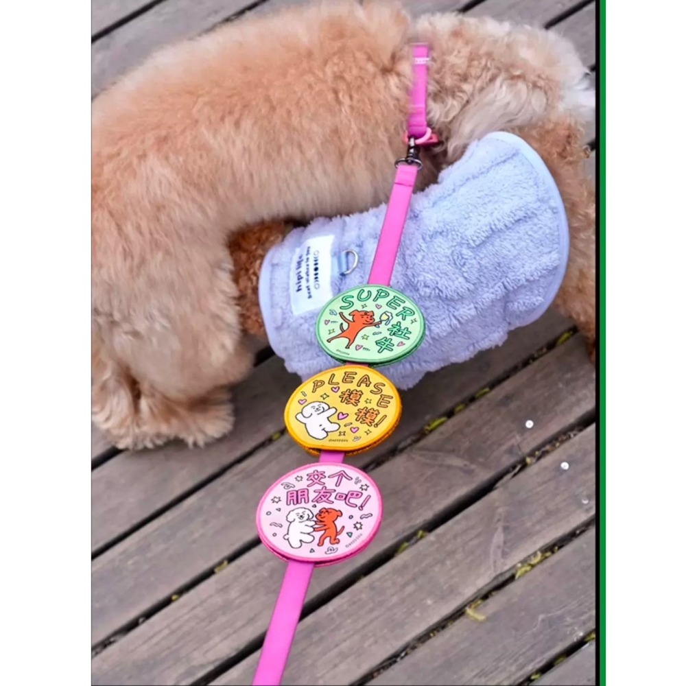 【汪喵森活】 寵物社交貼 雙面 魔鬼氈 寵物標語貼 寵物字貼 可愛圖案 社交標籤貼 寵物牽繩裝飾 寵物牽繩 遛貓 遛狗-細節圖7