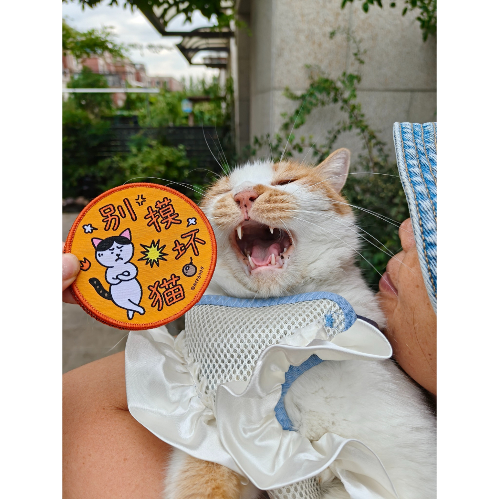 【汪喵森活】 寵物社交貼 雙面 魔鬼氈 寵物標語貼 寵物字貼 可愛圖案 社交標籤貼 寵物牽繩裝飾 寵物牽繩 遛貓 遛狗-細節圖11