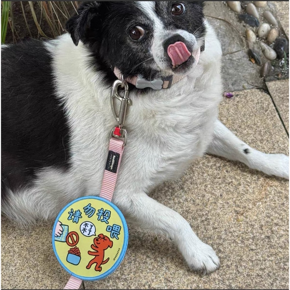 【汪喵森活】 寵物社交貼 雙面 魔鬼氈 寵物標語貼 寵物字貼 可愛圖案 社交標籤貼 寵物牽繩裝飾 寵物牽繩 遛貓 遛狗-規格圖11