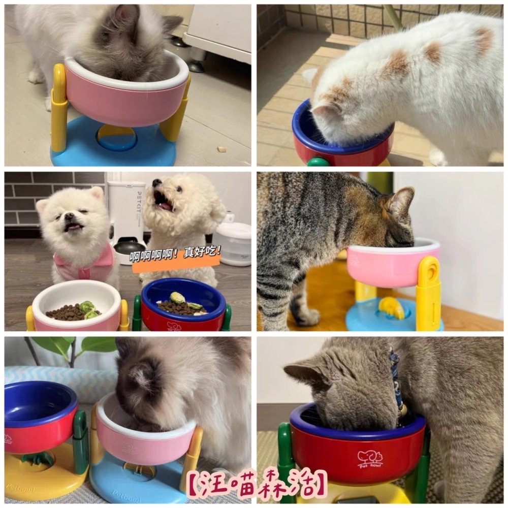【汪喵森活】 2色 可調降 可調整 升降碗架 護頸碗架 寵物碗 貓碗 狗碗 飼料碗 飲水碗 寵物雙碗 水碗 狗碗 餐碗-細節圖9