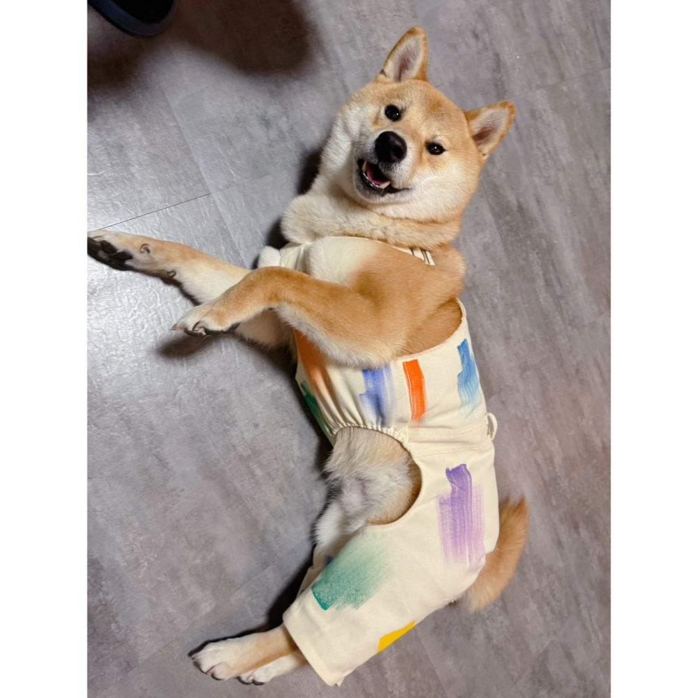 【汪喵森活】 春日美術館 手刷彩繪 牛仔 35kg內 吊帶裙 吊帶褲 寵物服飾 狗衣服 比熊 博美 貴賓 小型犬 柴犬-細節圖3