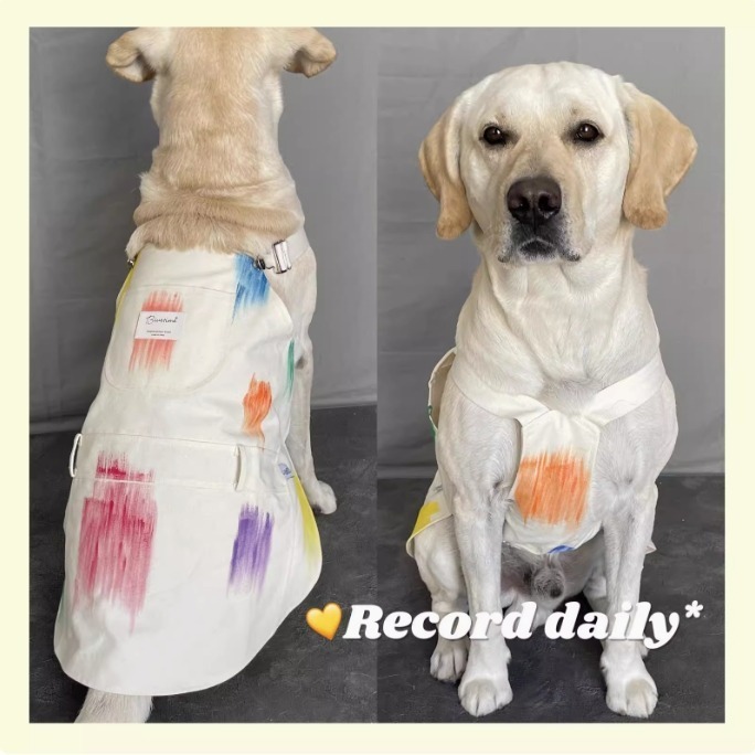 【汪喵森活】 春日美術館 手刷彩繪 牛仔 35kg內 吊帶裙 吊帶褲 寵物服飾 狗衣服 比熊 博美 貴賓 小型犬 柴犬-細節圖9