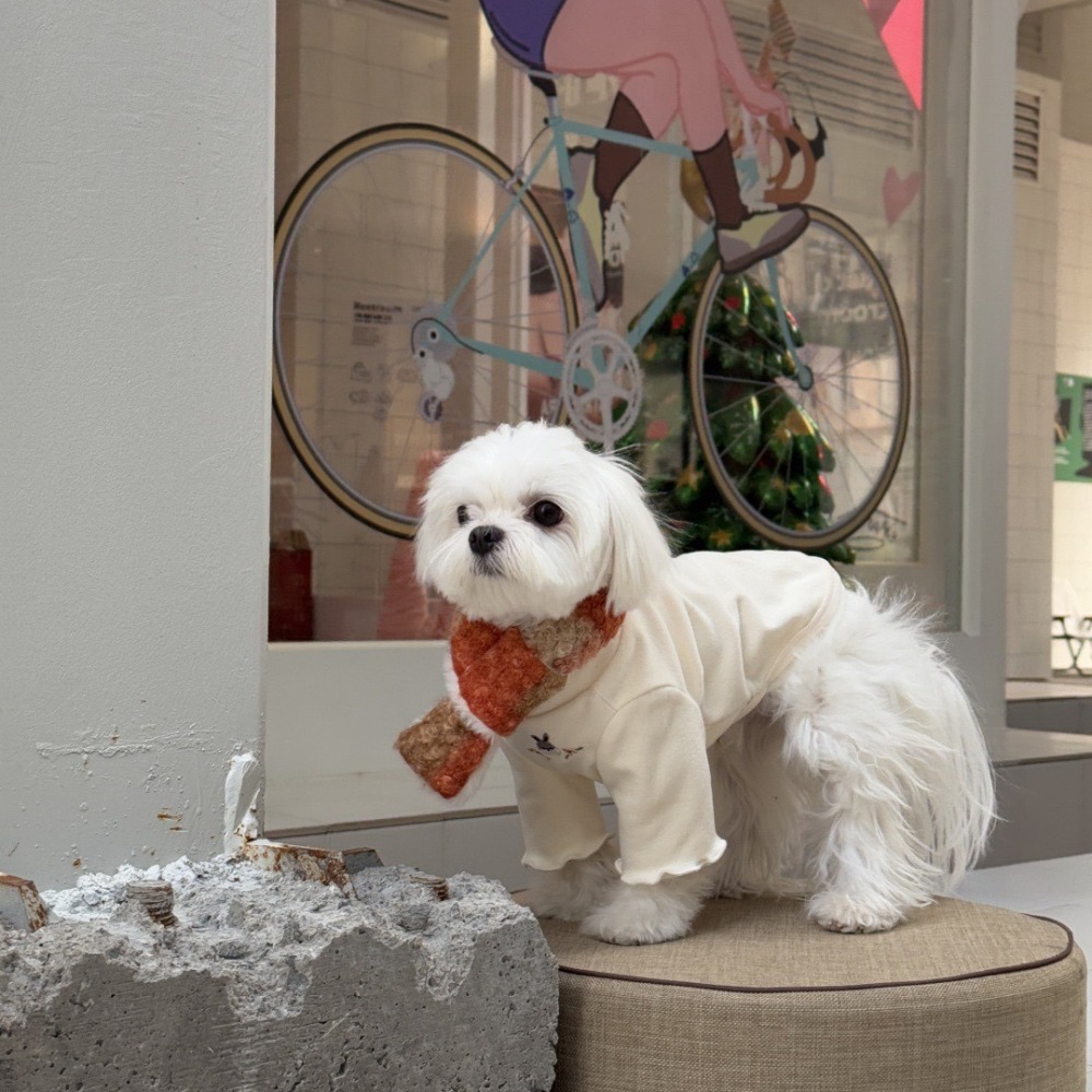 【汪喵森活】 寵物圍巾 4色 親子裝 親子圍巾 圈圈絨 10kg內 小型犬 保暖圍巾 狗圍巾 狗圍脖 貓圍巾 寵物配件-細節圖4