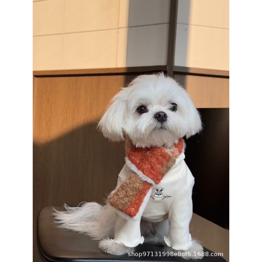 【汪喵森活】 寵物圍巾 4色 親子裝 親子圍巾 圈圈絨 10kg內 小型犬 保暖圍巾 狗圍巾 狗圍脖 貓圍巾 寵物配件-細節圖5