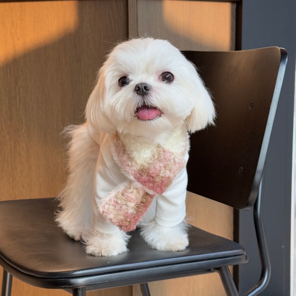 【汪喵森活】 寵物圍巾 4色 親子裝 親子圍巾 圈圈絨 10kg內 小型犬 保暖圍巾 狗圍巾 狗圍脖 貓圍巾 寵物配件-細節圖6