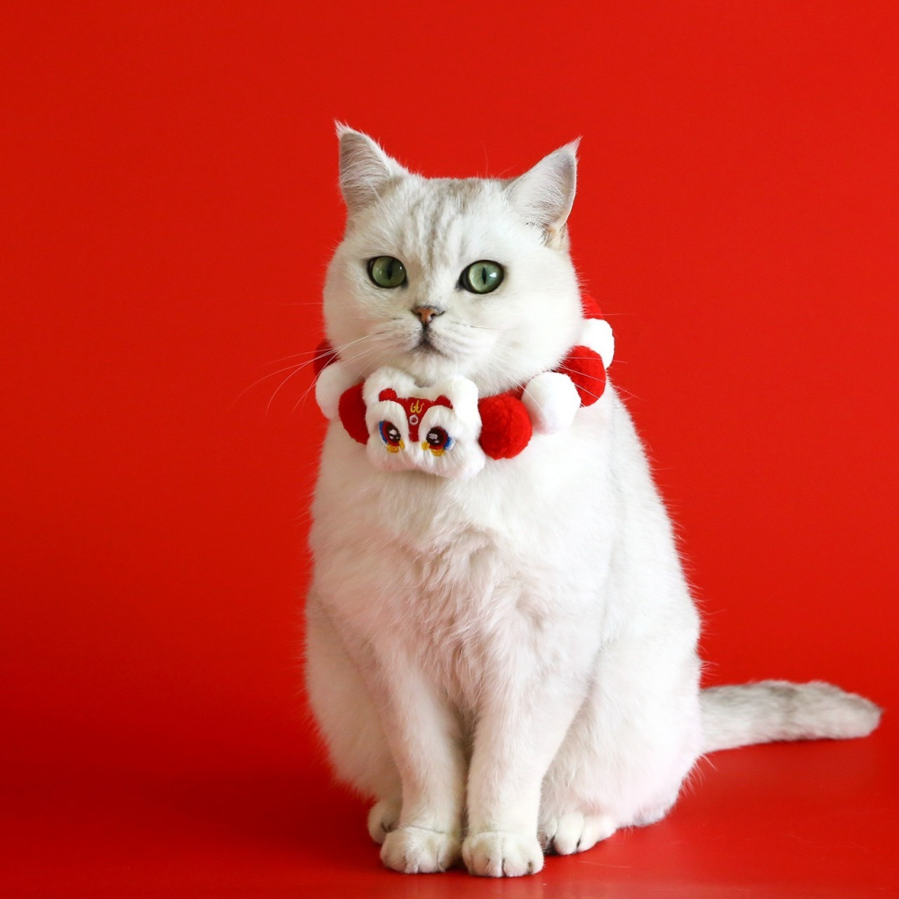 【汪喵森活】 春節 7款40kg內 球球項鍊 寵物圍巾 毛絨球球 過年圍巾 狗圍巾 狗圍脖 貓圍巾 寵物配件 新春 新年-細節圖2