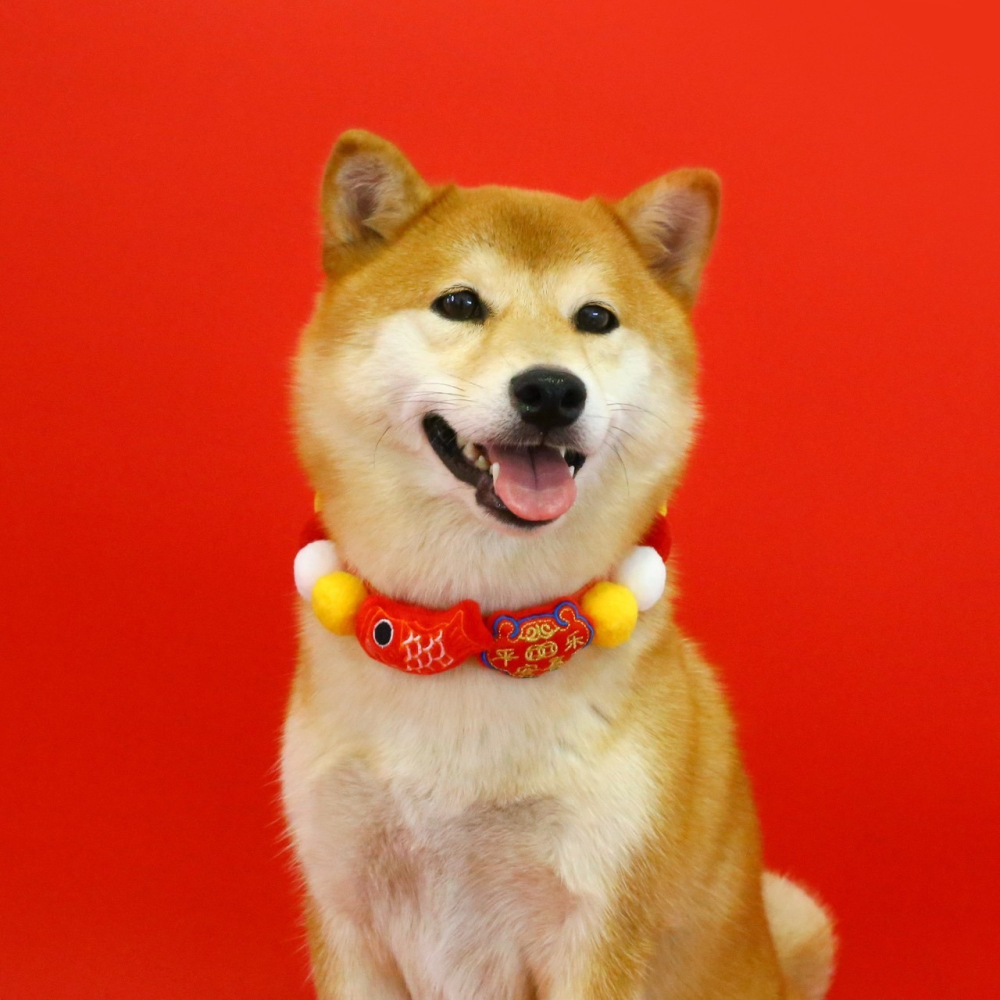 【汪喵森活】 春節 7款40kg內 球球項鍊 寵物圍巾 毛絨球球 過年圍巾 狗圍巾 狗圍脖 貓圍巾 寵物配件 新春 新年-細節圖3