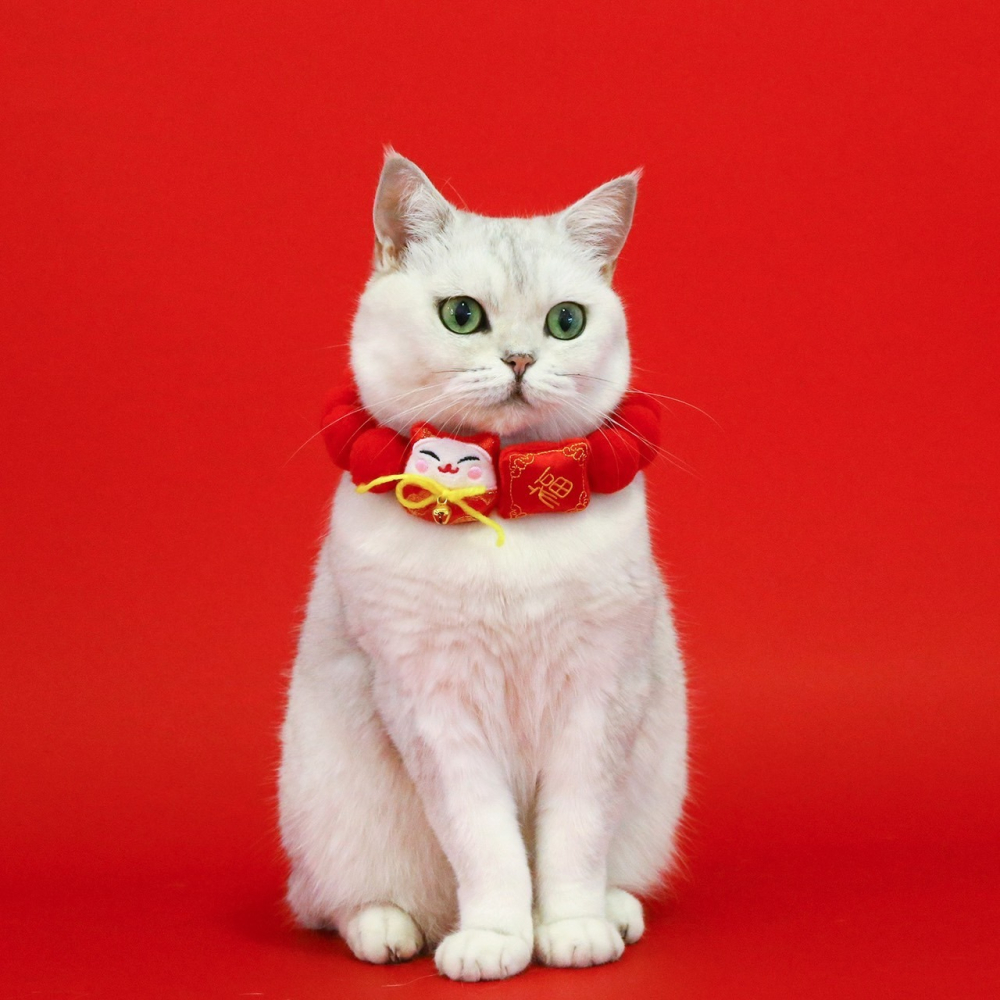 【汪喵森活】 春節 7款40kg內 球球項鍊 寵物圍巾 毛絨球球 過年圍巾 狗圍巾 狗圍脖 貓圍巾 寵物配件 新春 新年-細節圖4