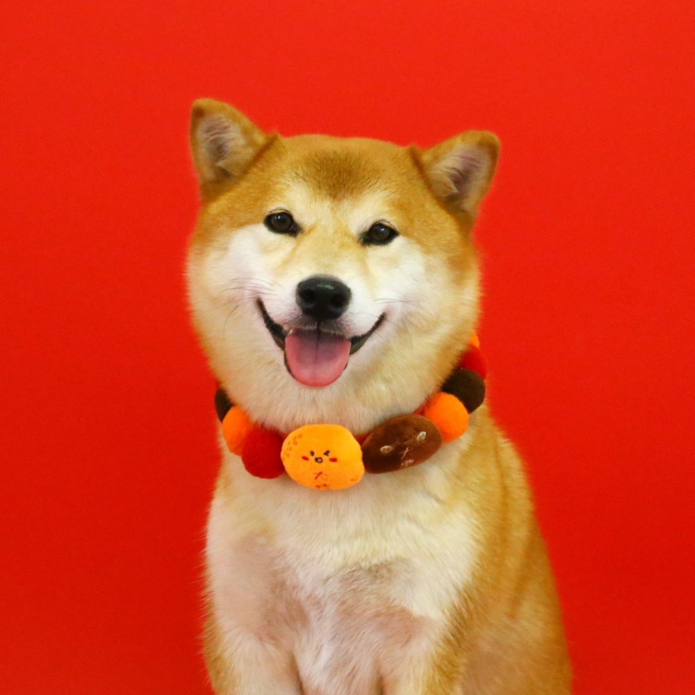 【汪喵森活】 春節 7款40kg內 球球項鍊 寵物圍巾 毛絨球球 過年圍巾 狗圍巾 狗圍脖 貓圍巾 寵物配件 新春 新年-細節圖5