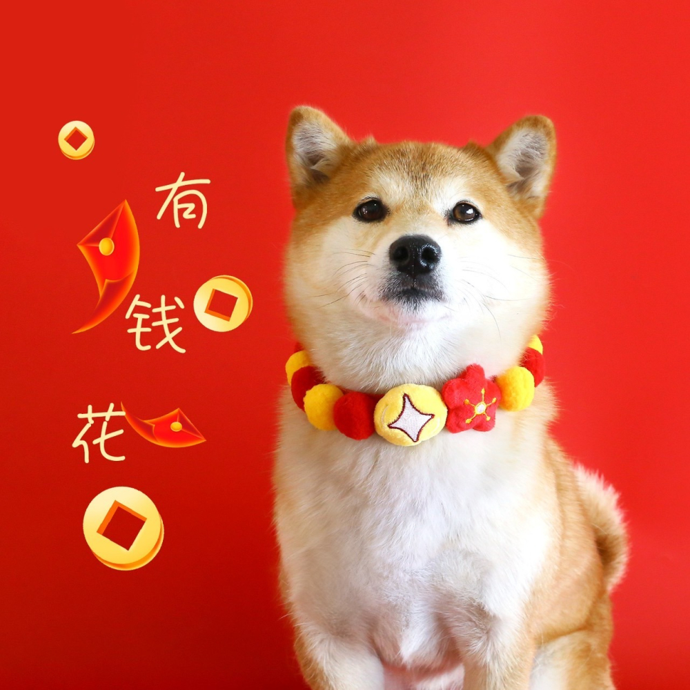 【汪喵森活】 春節 7款40kg內 球球項鍊 寵物圍巾 毛絨球球 過年圍巾 狗圍巾 狗圍脖 貓圍巾 寵物配件 新春 新年-細節圖6