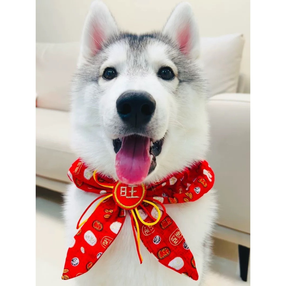 【汪喵森活】 春節 4款30kg內 紅色領巾 寵物圍巾結婚 婚禮 過年圍巾 狗圍巾 狗圍脖 貓圍巾 寵物配件 新春 新年-細節圖3