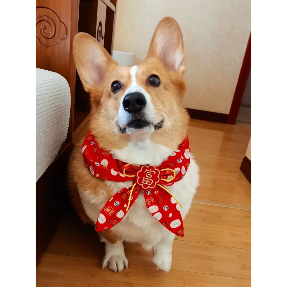 【汪喵森活】 春節 4款30kg內 紅色領巾 寵物圍巾結婚 婚禮 過年圍巾 狗圍巾 狗圍脖 貓圍巾 寵物配件 新春 新年-細節圖4