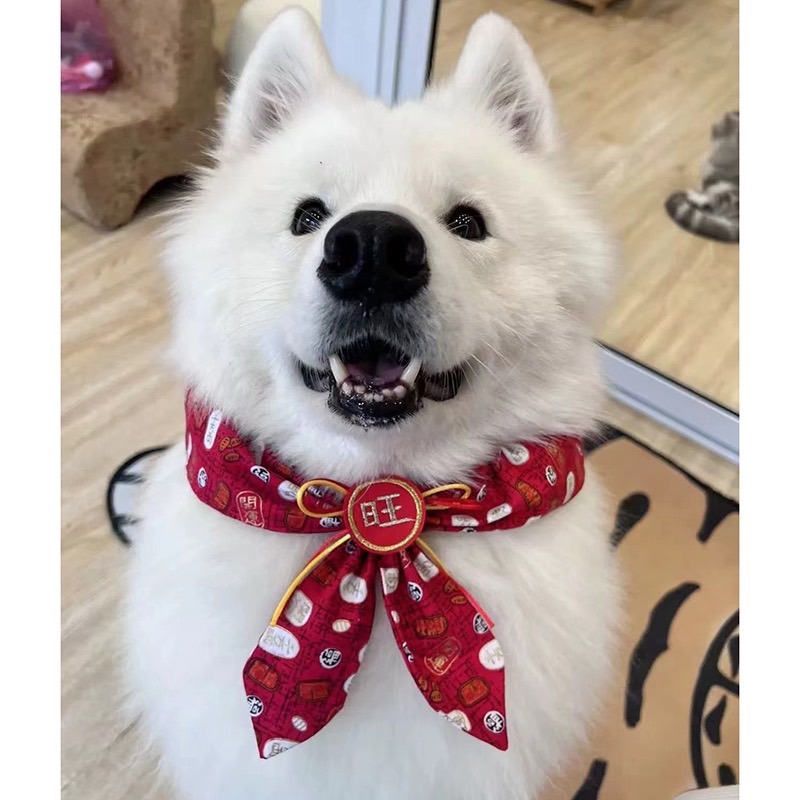 【汪喵森活】 春節 4款30kg內 紅色領巾 寵物圍巾結婚 婚禮 過年圍巾 狗圍巾 狗圍脖 貓圍巾 寵物配件 新春 新年-細節圖5