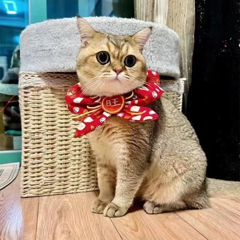 【汪喵森活】 春節 4款30kg內 紅色領巾 寵物圍巾結婚 婚禮 過年圍巾 狗圍巾 狗圍脖 貓圍巾 寵物配件 新春 新年-細節圖7