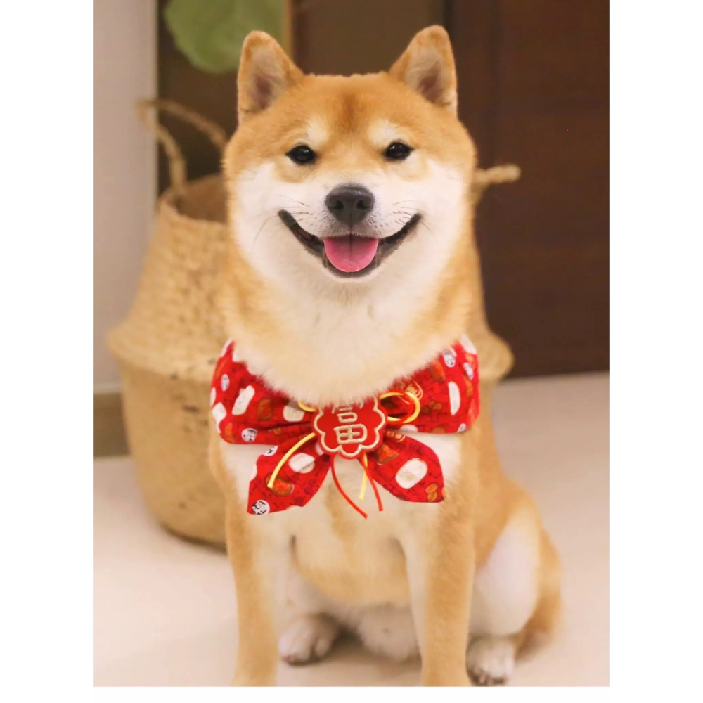 【汪喵森活】 春節 4款30kg內 紅色領巾 寵物圍巾結婚 婚禮 過年圍巾 狗圍巾 狗圍脖 貓圍巾 寵物配件 新春 新年-細節圖8