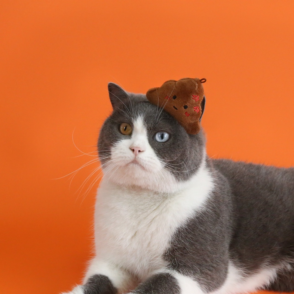 【汪喵森活】 搞笑變裝 便便髮箍 大便髮箍 萬聖節變裝🎃 寵物髮箍 寵物帽子 寵物萬聖節 貓狗萬聖節 寵物變裝 可愛變-細節圖3