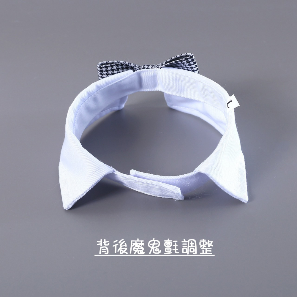 【汪喵森活】 寵物婚禮配件 寵物婚禮 假領子 蝴蝶結 寵物結婚 柯基 柴犬 貴賓 雪納瑞 哈士奇 婚禮 結婚 領結 婚宴-細節圖4