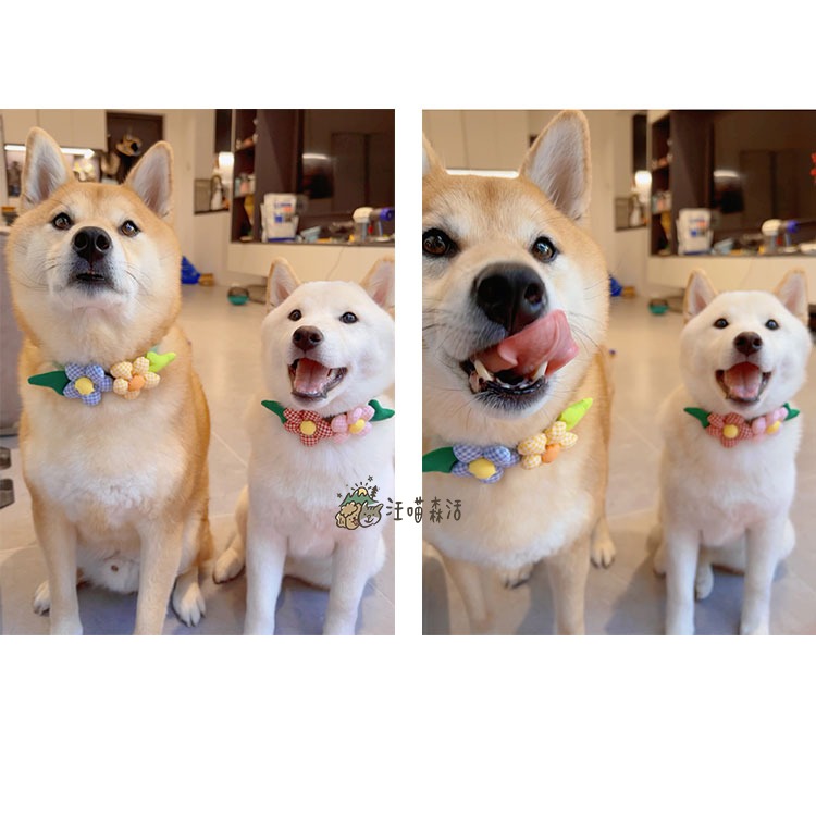【汪喵森活】 立體 花花項圈 領巾 鬆緊可調 寵物領巾 圍兜 寵物配件 柯基 法鬥 柴犬 比熊 臘腸 貴賓 西高地 貓咪-細節圖3