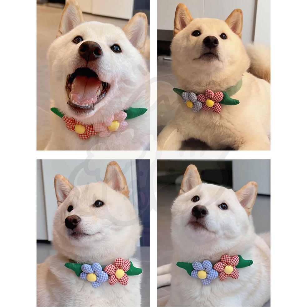 【汪喵森活】 立體 花花項圈 領巾 鬆緊可調 寵物領巾 圍兜 寵物配件 柯基 法鬥 柴犬 比熊 臘腸 貴賓 西高地 貓咪-細節圖4