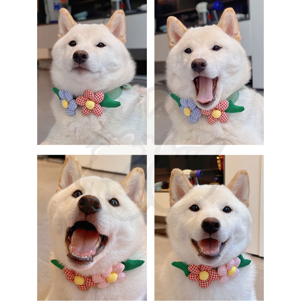 【汪喵森活】 立體 花花項圈 領巾 鬆緊可調 寵物領巾 圍兜 寵物配件 柯基 法鬥 柴犬 比熊 臘腸 貴賓 西高地 貓咪-細節圖5