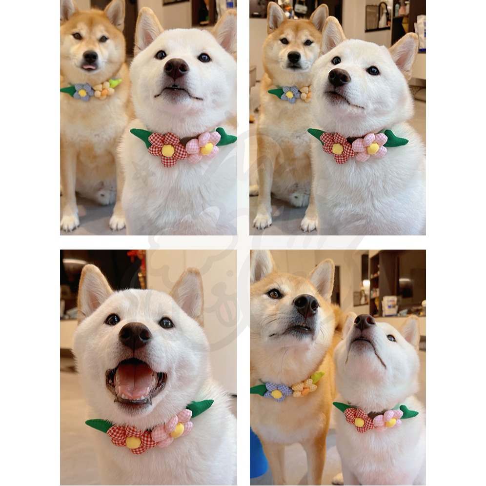 【汪喵森活】 立體 花花項圈 領巾 鬆緊可調 寵物領巾 圍兜 寵物配件 柯基 法鬥 柴犬 比熊 臘腸 貴賓 西高地 貓咪-細節圖6