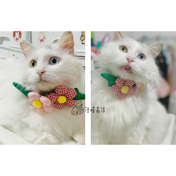 【汪喵森活】 立體 花花項圈 領巾 鬆緊可調 寵物領巾 圍兜 寵物配件 柯基 法鬥 柴犬 比熊 臘腸 貴賓 西高地 貓咪-細節圖7