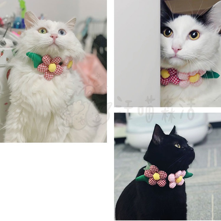 【汪喵森活】 立體 花花項圈 領巾 鬆緊可調 寵物領巾 圍兜 寵物配件 柯基 法鬥 柴犬 比熊 臘腸 貴賓 西高地 貓咪-細節圖8