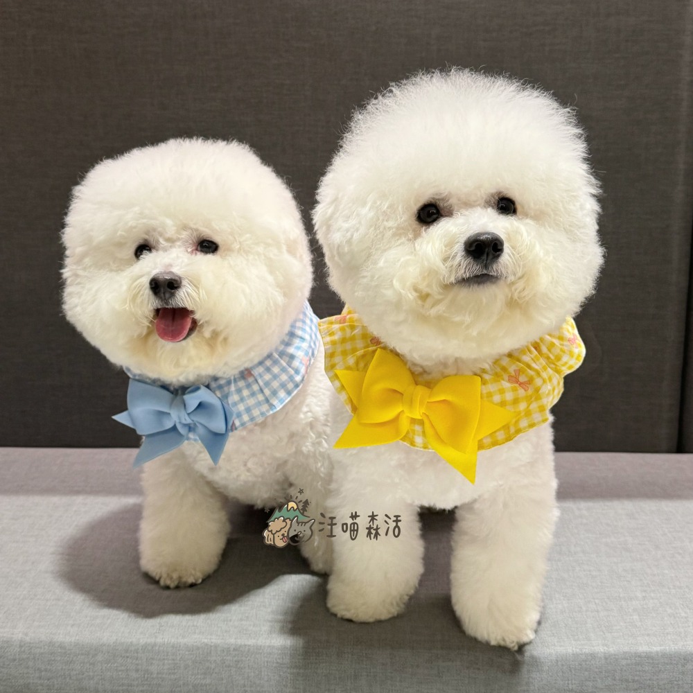 【汪喵森活】 蝴蝶結 格子圈圈 領巾 彈力花邊 寵物領巾 寵物圍兜 柯基 法鬥 柴犬 比熊 雪納瑞 臘腸 貴賓 貓狗領巾-細節圖3