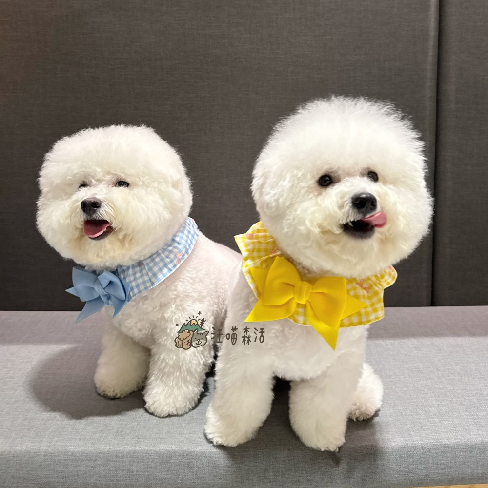 【汪喵森活】 蝴蝶結 格子圈圈 領巾 彈力花邊 寵物領巾 寵物圍兜 柯基 法鬥 柴犬 比熊 雪納瑞 臘腸 貴賓 貓狗領巾-細節圖4