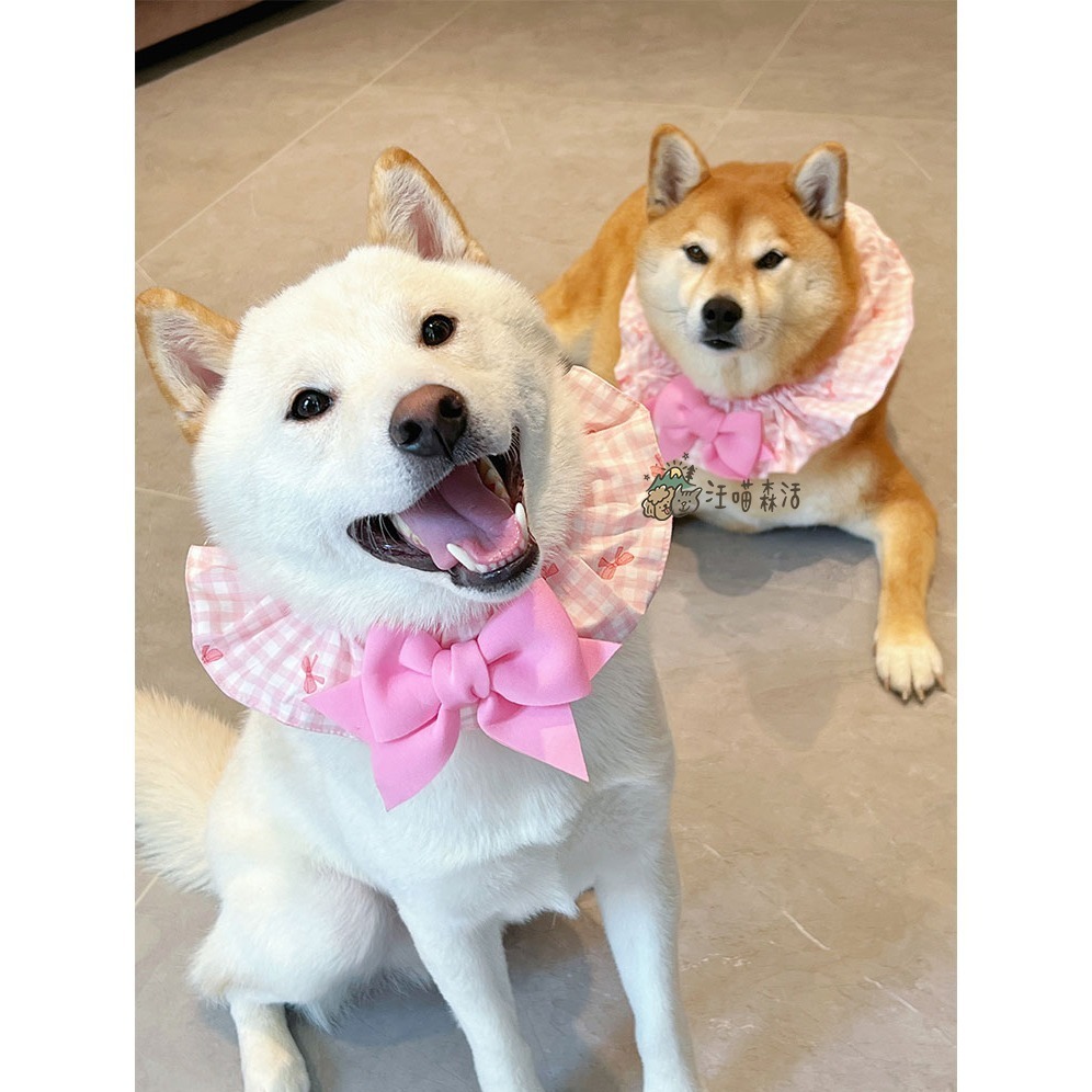 【汪喵森活】 蝴蝶結 格子圈圈 領巾 彈力花邊 寵物領巾 寵物圍兜 柯基 法鬥 柴犬 比熊 雪納瑞 臘腸 貴賓 貓狗領巾-細節圖6