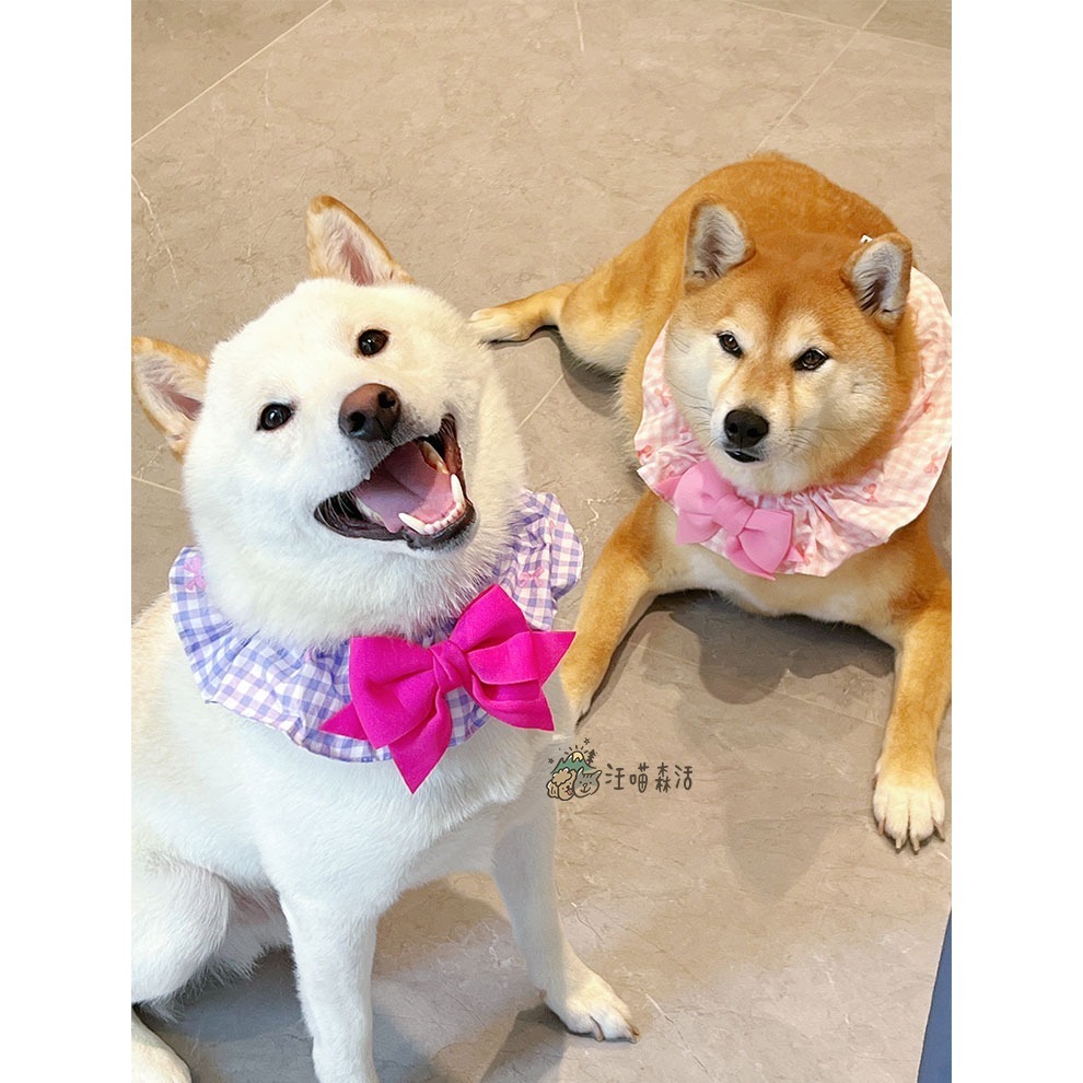 【汪喵森活】 蝴蝶結 格子圈圈 領巾 彈力花邊 寵物領巾 寵物圍兜 柯基 法鬥 柴犬 比熊 雪納瑞 臘腸 貴賓 貓狗領巾-細節圖7