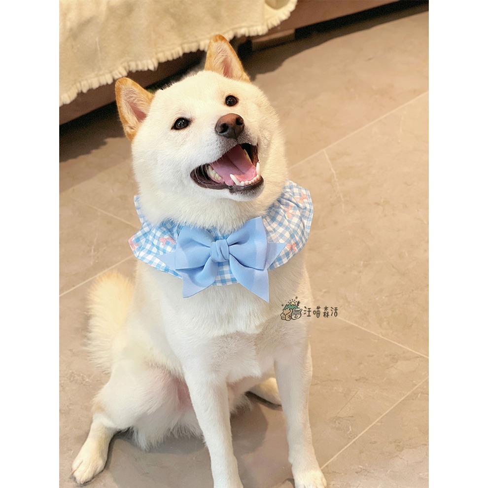 【汪喵森活】 蝴蝶結 格子圈圈 領巾 彈力花邊 寵物領巾 寵物圍兜 柯基 法鬥 柴犬 比熊 雪納瑞 臘腸 貴賓 貓狗領巾-細節圖8