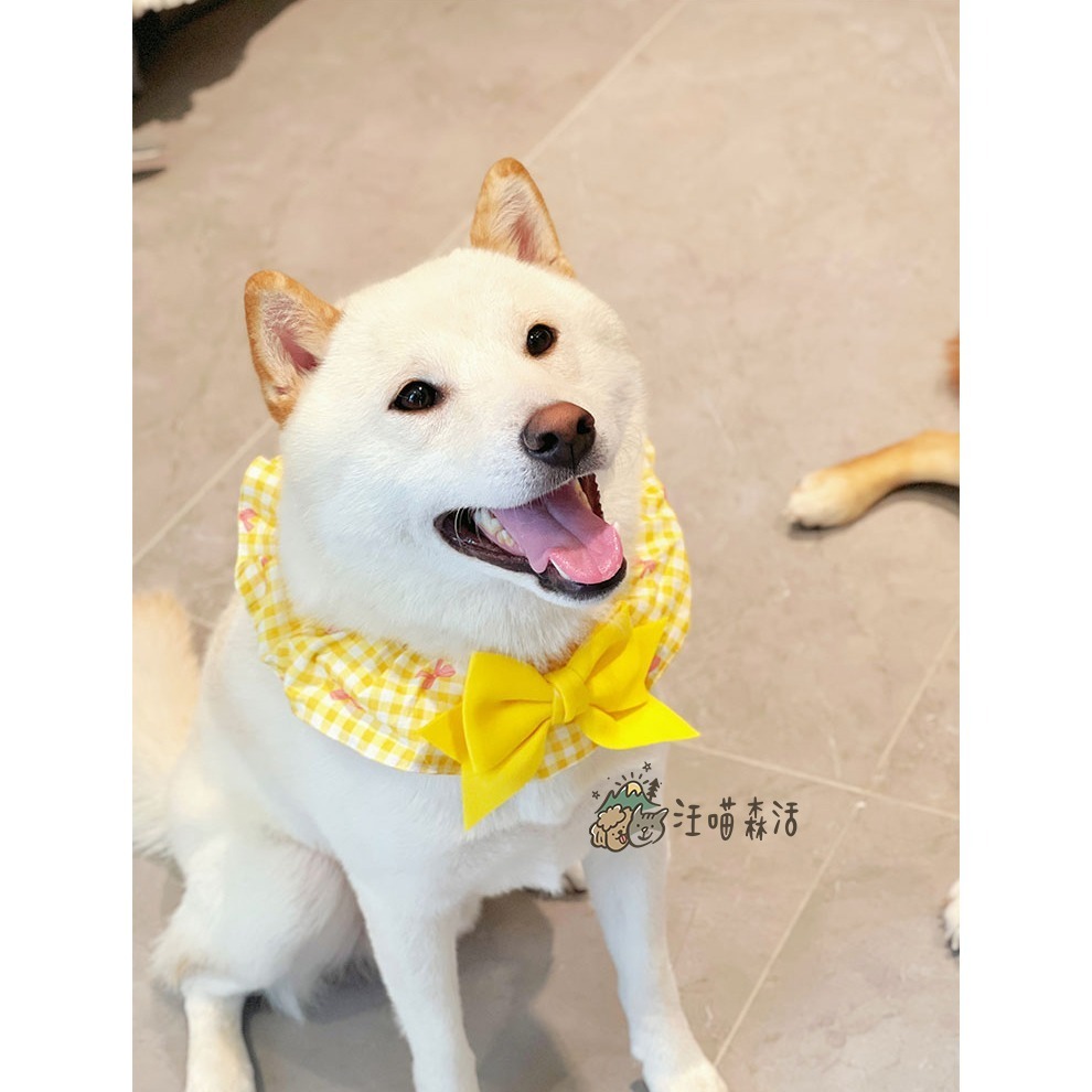 【汪喵森活】 蝴蝶結 格子圈圈 領巾 彈力花邊 寵物領巾 寵物圍兜 柯基 法鬥 柴犬 比熊 雪納瑞 臘腸 貴賓 貓狗領巾-細節圖9