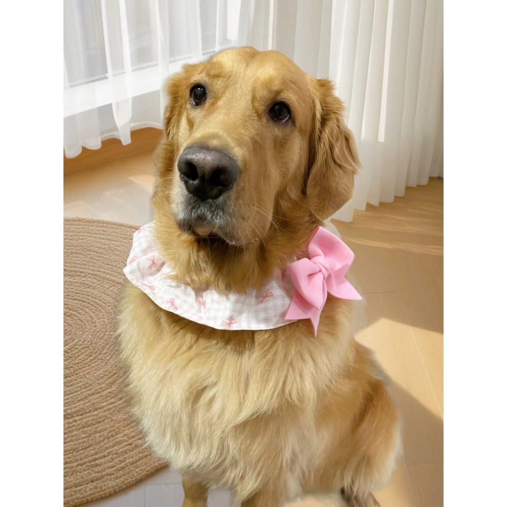 【汪喵森活】 蝴蝶結 格子圈圈 領巾 彈力花邊 寵物領巾 寵物圍兜 柯基 法鬥 柴犬 比熊 雪納瑞 臘腸 貴賓 貓狗領巾-細節圖10