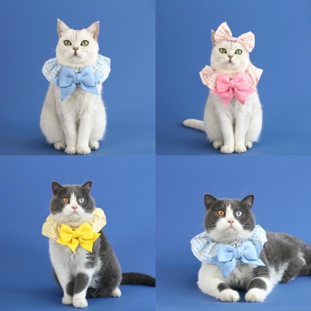 【汪喵森活】 蝴蝶結 格子圈圈 領巾 彈力花邊 寵物領巾 寵物圍兜 柯基 法鬥 柴犬 比熊 雪納瑞 臘腸 貴賓 貓狗領巾-細節圖11