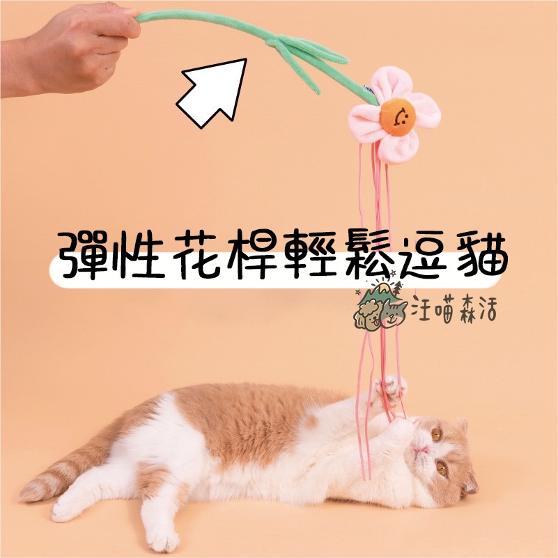 【汪喵森活】 花花逗貓棒 貓薄荷逗貓棒 鈴鐺逗貓棒 仙女逗貓棒 貓玩具 逗貓棒 貓咪玩具 彈力逗貓棒 流蘇逗貓棒 逗貓桿-細節圖7