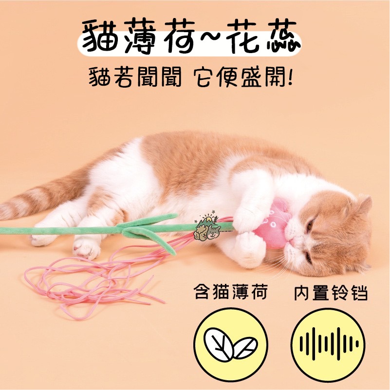 【汪喵森活】 花花逗貓棒 貓薄荷逗貓棒 鈴鐺逗貓棒 仙女逗貓棒 貓玩具 逗貓棒 貓咪玩具 彈力逗貓棒 流蘇逗貓棒 逗貓桿-細節圖8