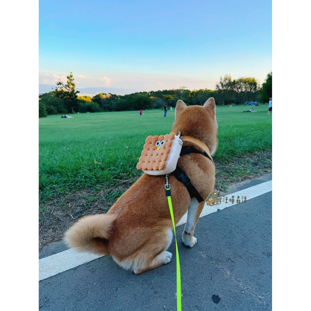 【汪喵森活】 夾心餅乾 親子包 親子裝 寵物背包 寵物自背包 寵物零食包 寵物外出包 寵物外出袋 狗狗背包 撿便袋收納包-細節圖2