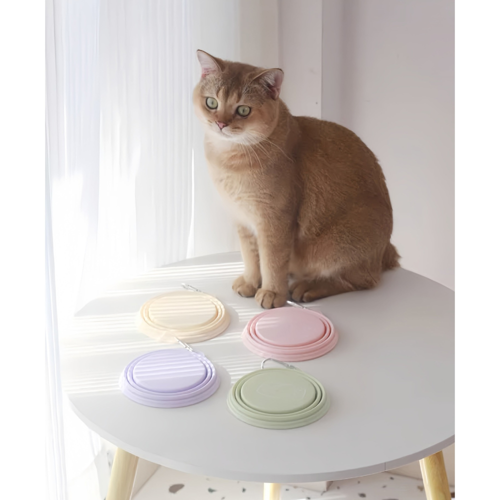 【汪喵森活】 13/15cm 馬卡龍 折疊碗 寵物外出碗 矽膠折疊碗 附扣環 摺疊碗 狗外出碗 狗碗 外出矽膠碗 外出碗-細節圖7
